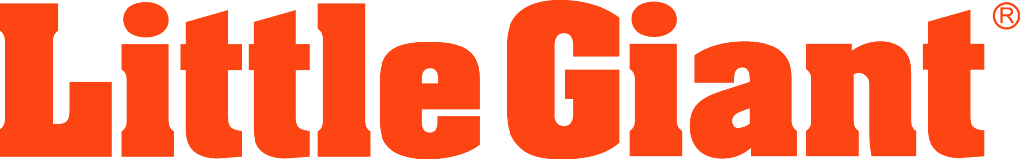 Little Giant Leitern